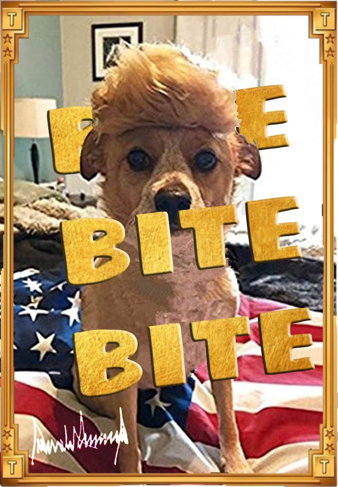 Trump Puppy